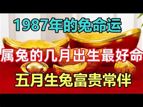 1987 年五行屬什麼